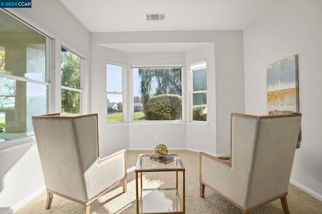 living area with carpet flooring