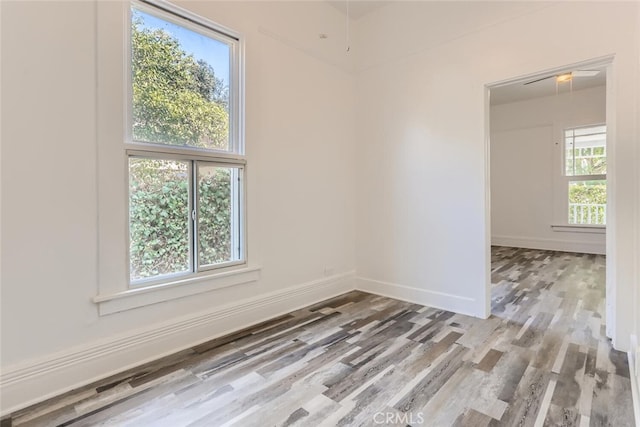 empty room featuring wood-type flooring