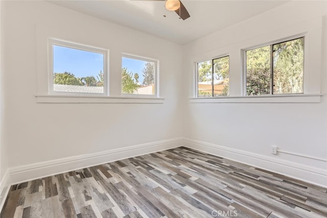 unfurnished room featuring wood-type flooring and ceiling fan