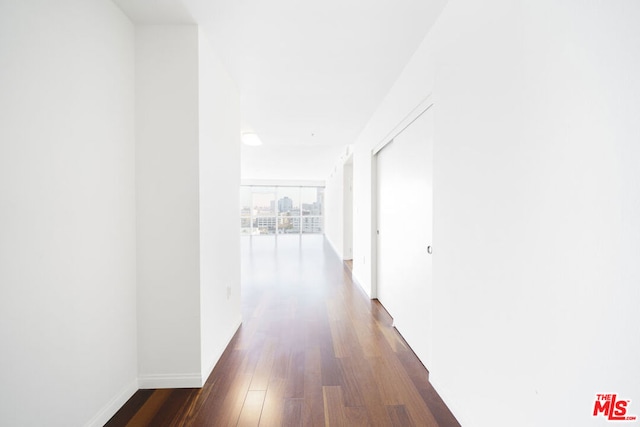 corridor with dark hardwood / wood-style floors and expansive windows