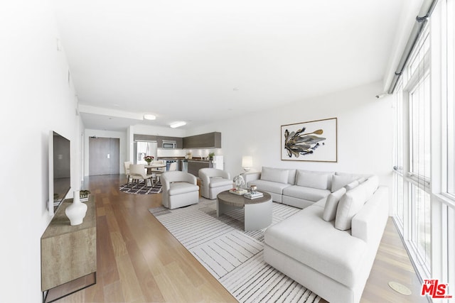 living room with light wood-type flooring