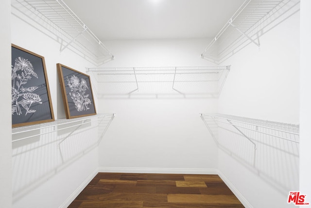 walk in closet featuring dark hardwood / wood-style floors