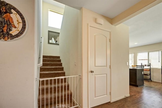 stairs featuring beamed ceiling and hardwood / wood-style flooring