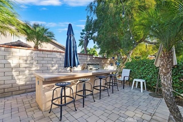 view of patio / terrace with exterior kitchen, a grill, and a bar