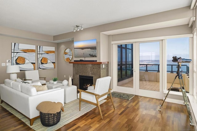 living room with dark wood-type flooring and a fireplace