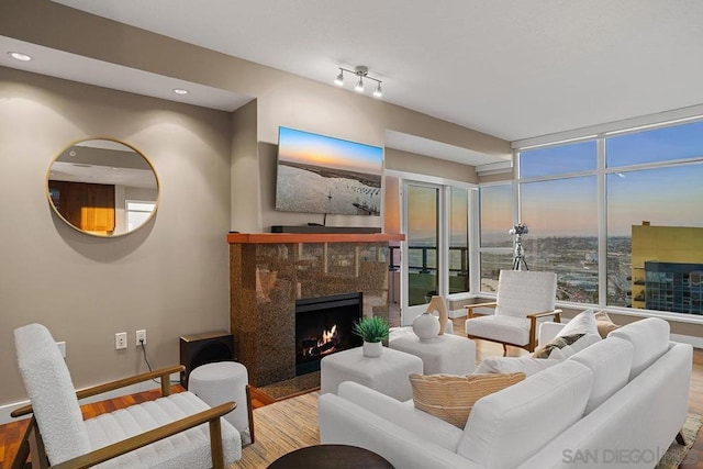 living room featuring hardwood / wood-style flooring and a premium fireplace