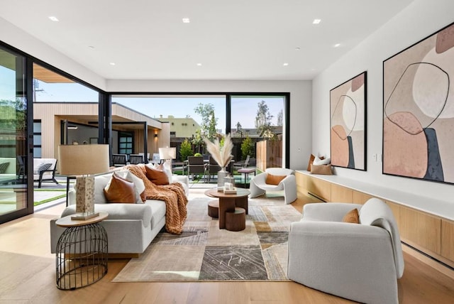 living room with light hardwood / wood-style flooring and a healthy amount of sunlight