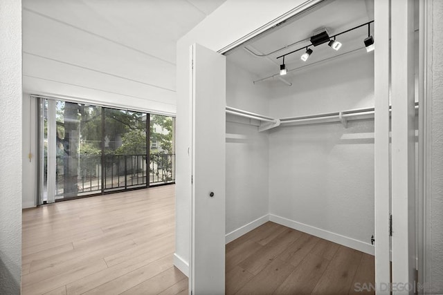 walk in closet featuring wood-type flooring