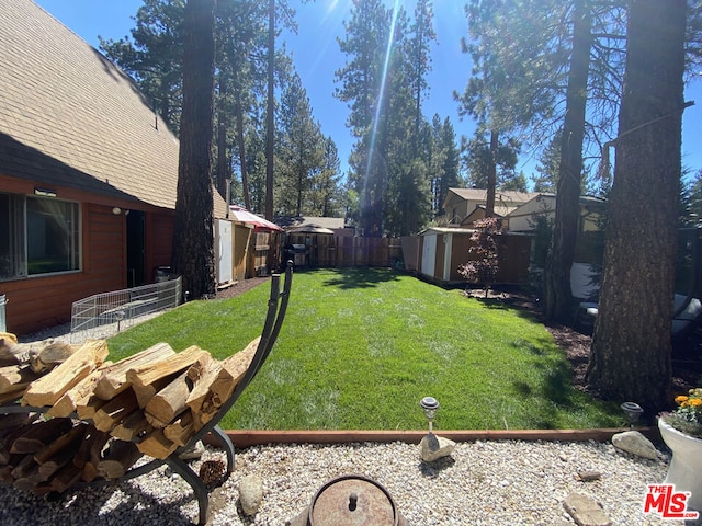 view of yard with a shed