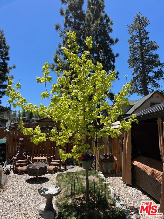 view of yard featuring a fire pit and a patio area