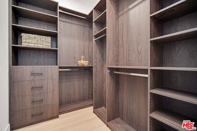 spacious closet featuring light wood-type flooring