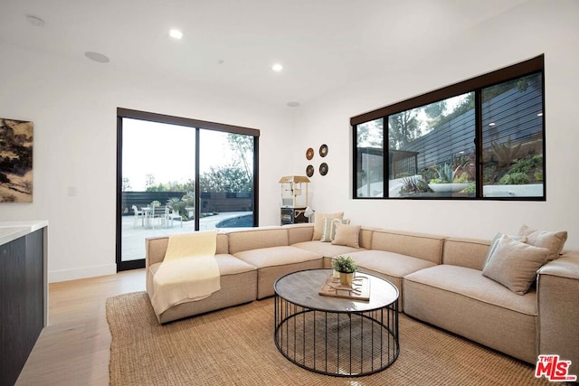 living room featuring light hardwood / wood-style floors and a wealth of natural light