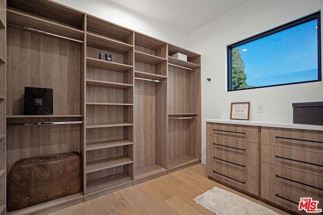 spacious closet with light wood-type flooring