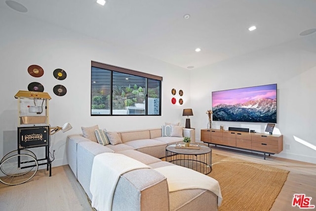 living room featuring light hardwood / wood-style floors