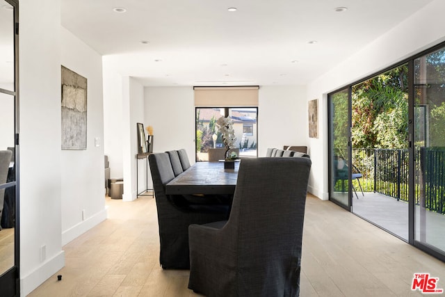 dining room with light hardwood / wood-style floors and a healthy amount of sunlight