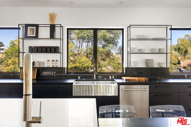 kitchen with dishwasher and sink