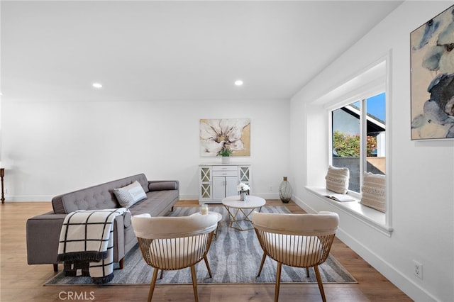 living room featuring hardwood / wood-style floors