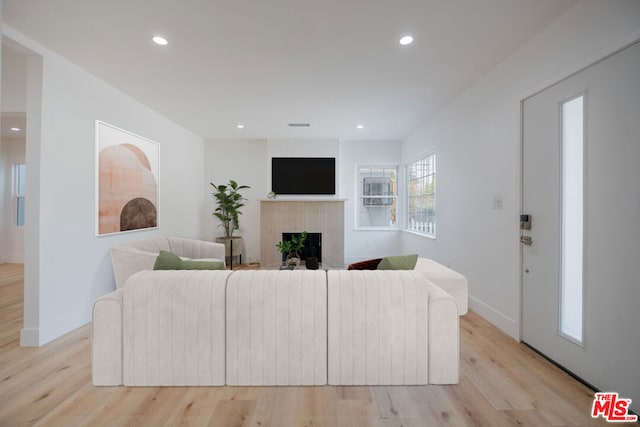 living room featuring light hardwood / wood-style flooring