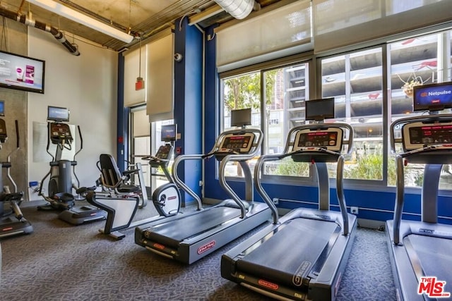 workout area featuring carpet