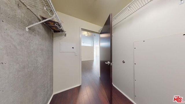 hall featuring dark hardwood / wood-style floors