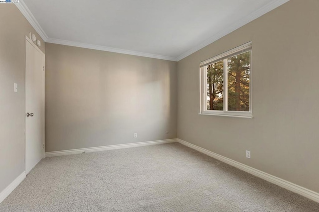 carpeted empty room with crown molding