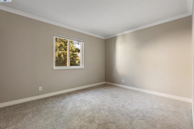 unfurnished room featuring carpet floors and ornamental molding