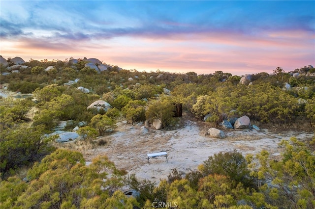 view of nature at dusk