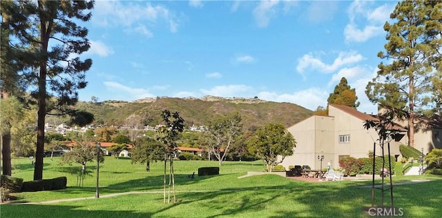 view of home's community featuring a mountain view and a yard