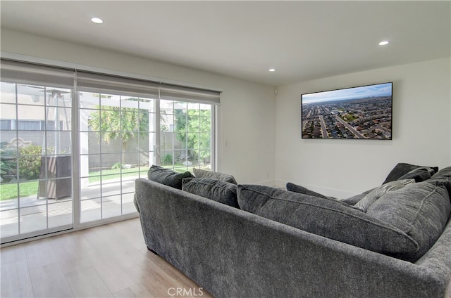 living room featuring light hardwood / wood-style floors