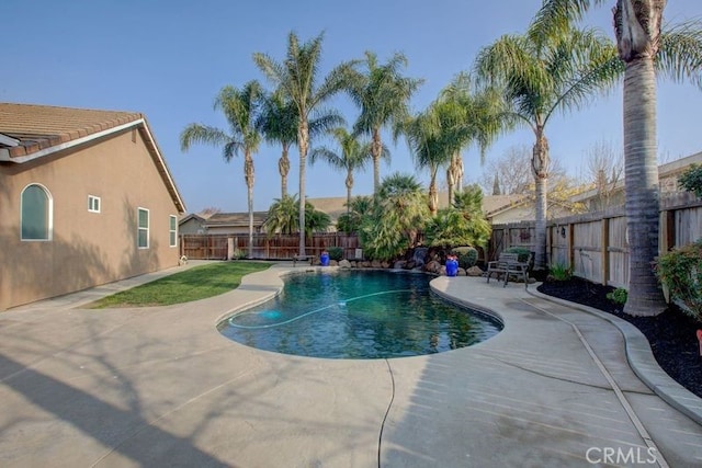 view of pool featuring a patio area