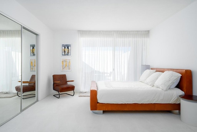 carpeted bedroom with a closet