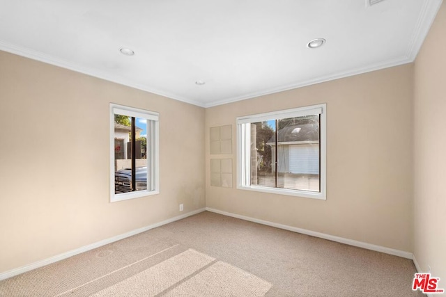 unfurnished room featuring carpet and crown molding