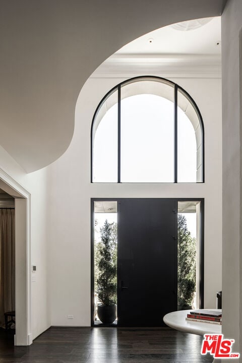 entrance foyer with dark wood-type flooring and a high ceiling