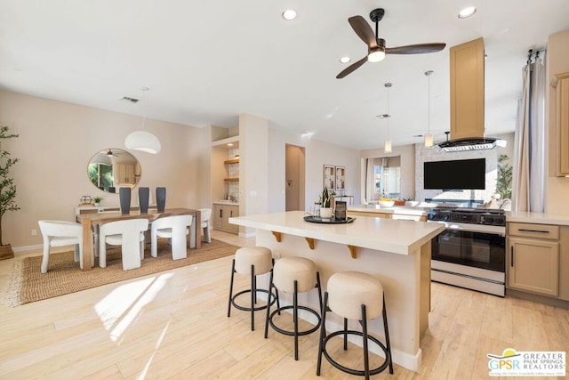 kitchen with light hardwood / wood-style flooring, gas range oven, a healthy amount of sunlight, and a kitchen island