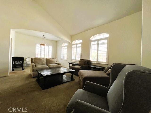 living room featuring carpet, high vaulted ceiling, and a wealth of natural light