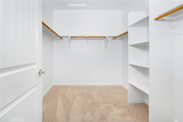 walk in closet featuring light carpet