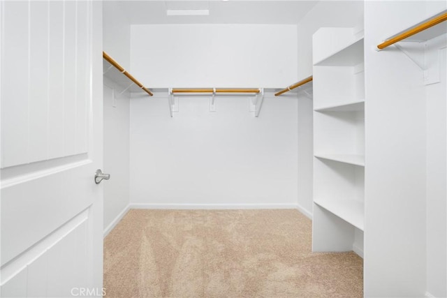 spacious closet with light carpet