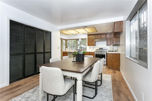 dining room featuring light wood-type flooring