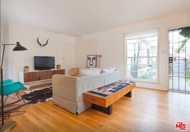 living room featuring light hardwood / wood-style flooring