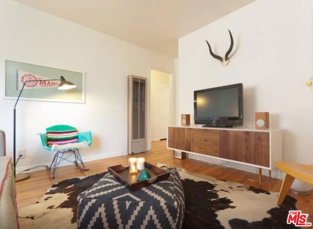 living room with wood-type flooring