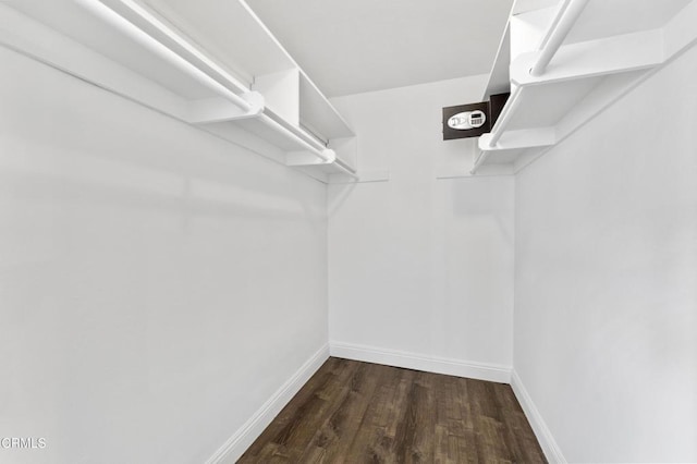 walk in closet featuring dark hardwood / wood-style flooring