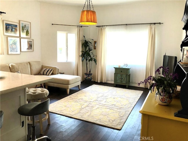 living room featuring dark hardwood / wood-style flooring