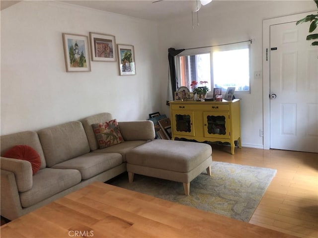 living room featuring light wood-type flooring