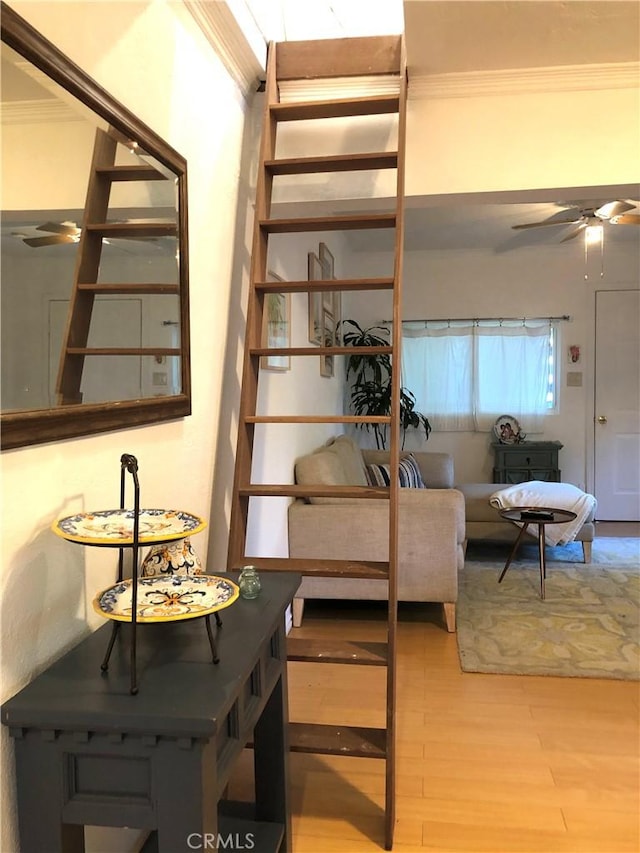 interior space with ceiling fan, wood-type flooring, and ornamental molding