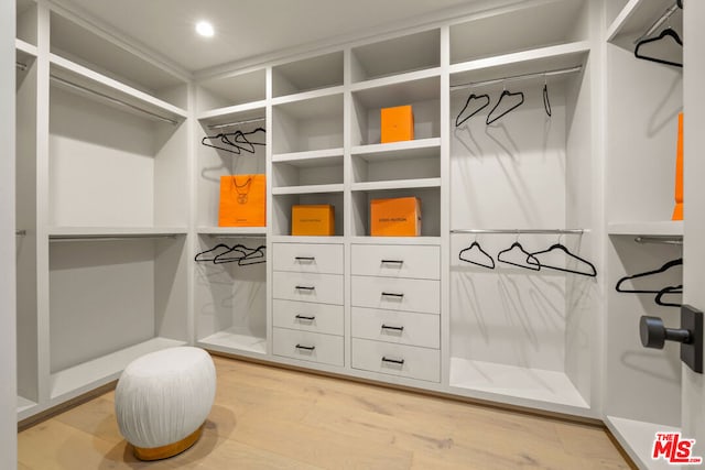 spacious closet featuring hardwood / wood-style flooring