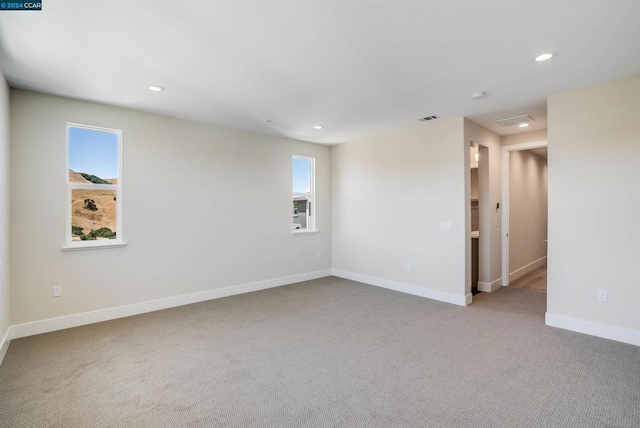 spare room featuring plenty of natural light and light carpet