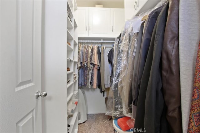 spacious closet with carpet floors