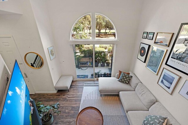 living room with a towering ceiling and dark hardwood / wood-style flooring