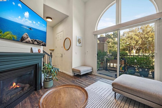 living room with dark hardwood / wood-style floors