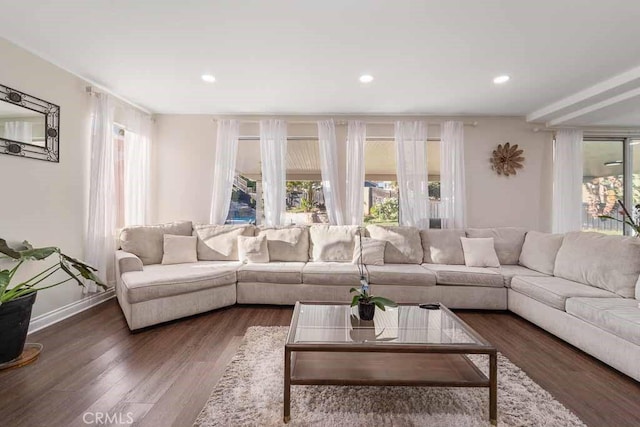 living room with dark hardwood / wood-style flooring and a healthy amount of sunlight